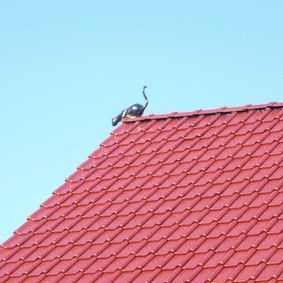 Impressionen Dachdeckerei Kreisel aus Goslar